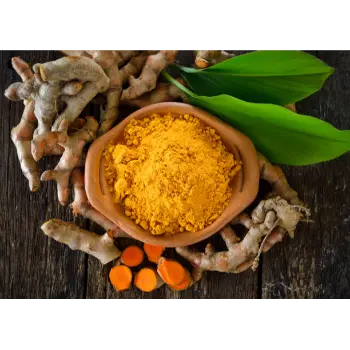 Common Turmeric Spent